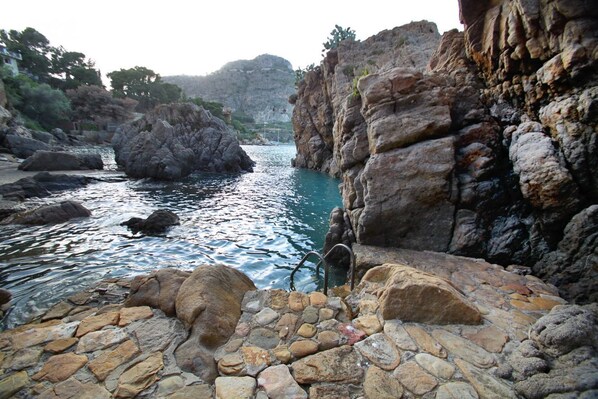 Oklassificerad bild, 1 av 49, knapp