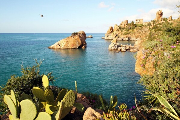 Luokittelematon kuva, 1 kautta 49, painike