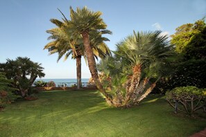 Unclassified image, 2 of 49, button