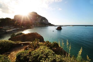 Luokittelematon kuva, 2 kautta 49, painike