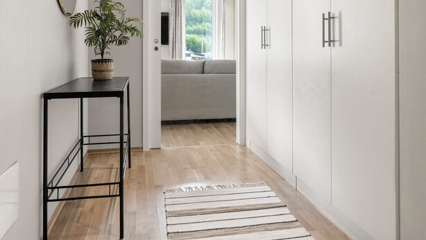 Een hal met een houten vloer, een gestreept tapijt, een plant in een pot op een zwarte tafel, een bank op de achtergrond, en witte kasten.