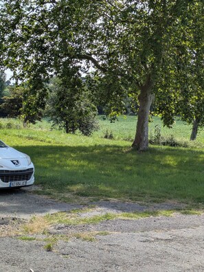 Property grounds - Birthdays, Holidays, Team Building, Group Rentals 1h Toulouse (Puymaurin)