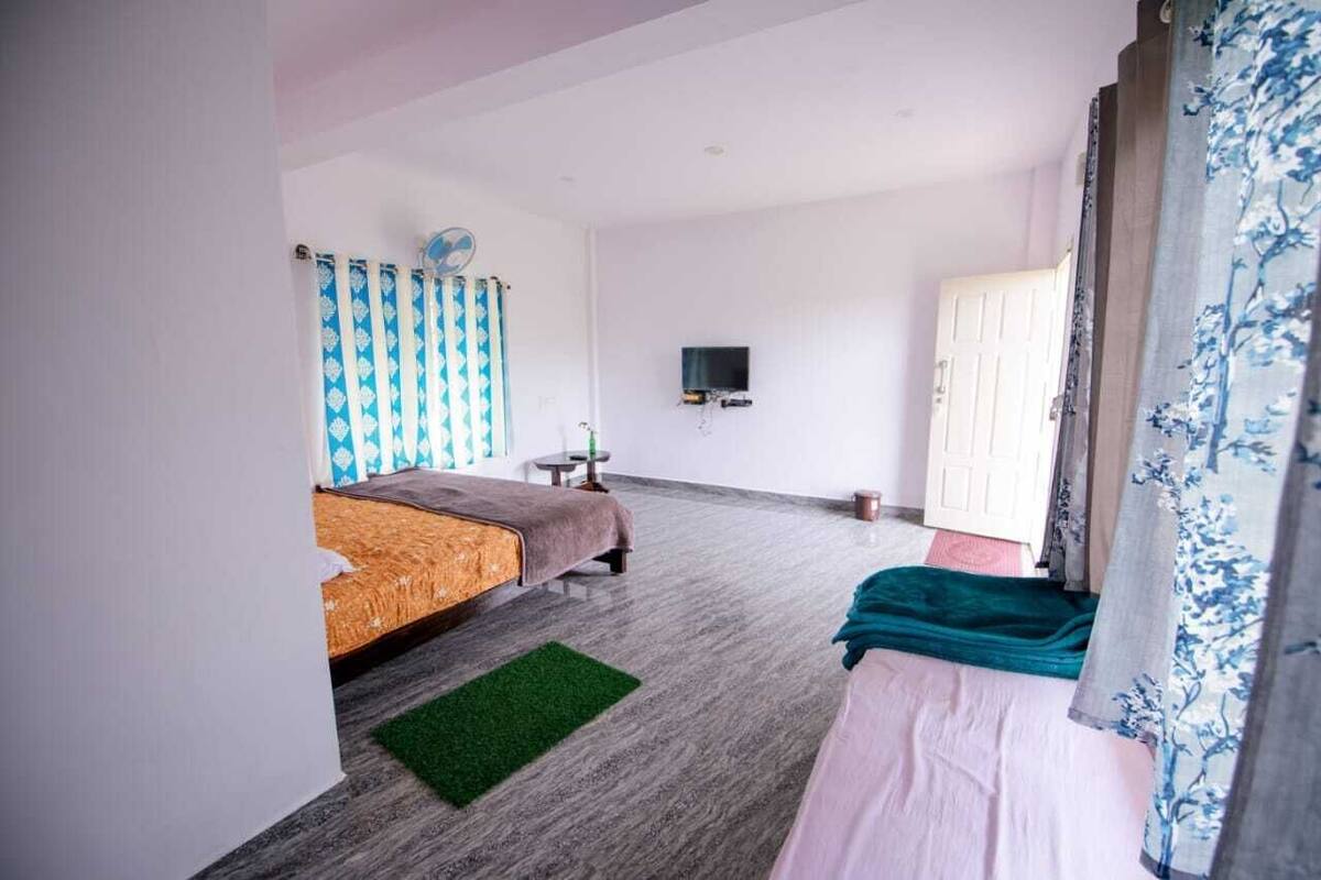 A bedroom with a bed, a TV, a fan, and a door.