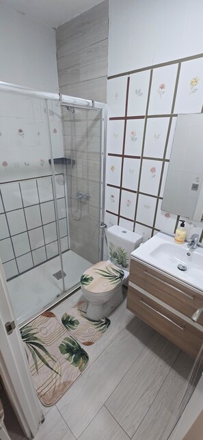 Dutxa, assecador de cabells, tovalloles i paper higiènic