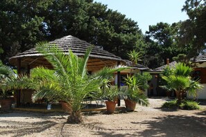 Ein Innenhof mit strohgedeckten Hütten, umgeben von Kübelpalmen und dichtem Grün.