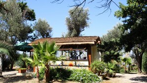 A rustic building with a tiled roof, surrounded by lush greenery and trees. - Boutique Villa is an exclusive-use property located along the Tyrrhenian coast, nestled in a pine forest overlooking the sea.The main part of the villa consists of three charming cottages. Inside, you’ll find two bedrooms (one double and one twin), a b (Marina di Caronia)