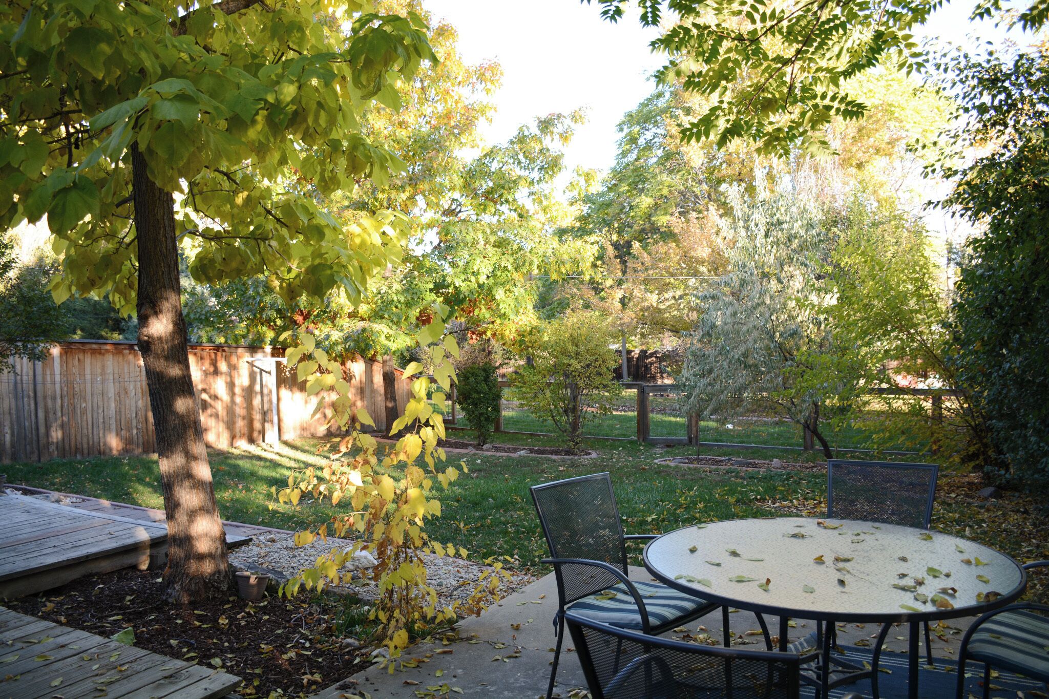 Restauration en plein air