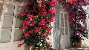 A building with a balcony, a large potted plant with pink flowers, and a door with glass panels. - CASA JO – a beautifully renovated, comfortable fisherman's cottage in the historic center of Olhão (Olhão)