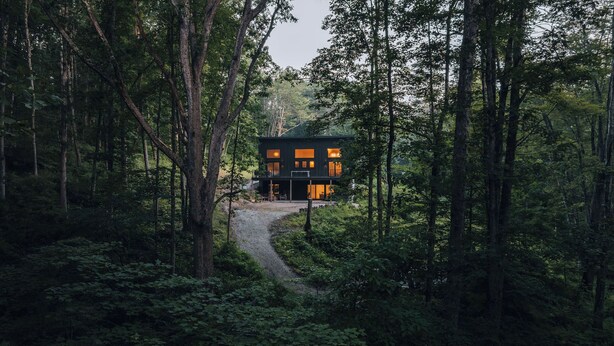 A modern house with large windows, surrounded by a forest. - Modern Cabin | Hot Tub + Forest Views | 2 BR 2 BA (Logan)