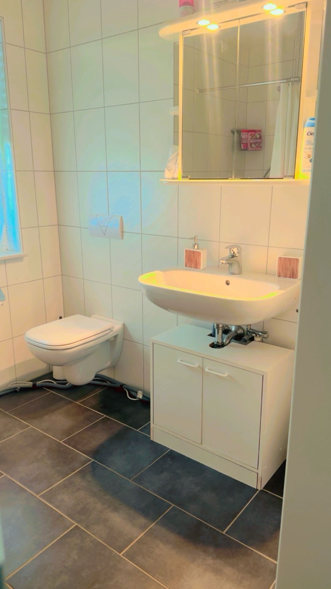 Ein Badezimmer mit Toilette, Waschbecken und Spiegel.