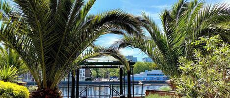 Área da propriedade