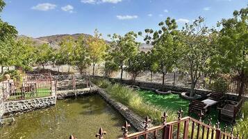 Terrein van de accommodatie