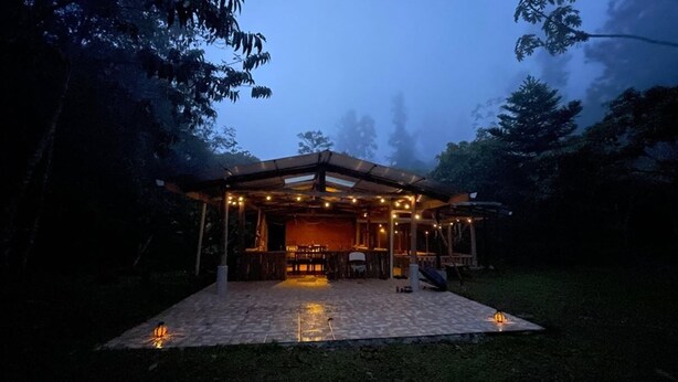 A covered outdoor area with a tiled floor, surrounded by trees.