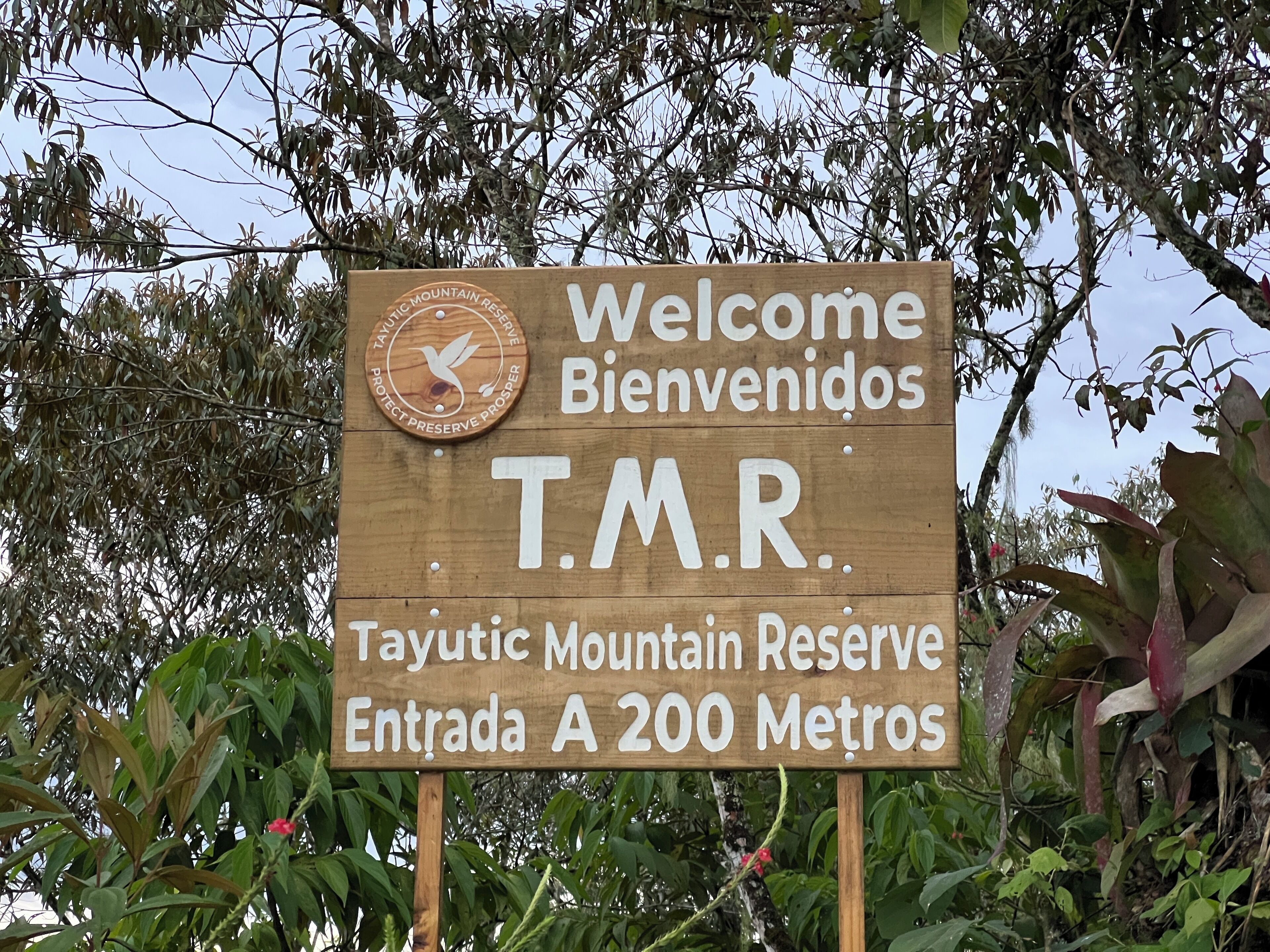 Ein hölzernes Willkommensschild für das Tayutic Mountain Reserve mit einem Vogel-Logo und der Aufschrift, Besucher willkommen zu heißen.