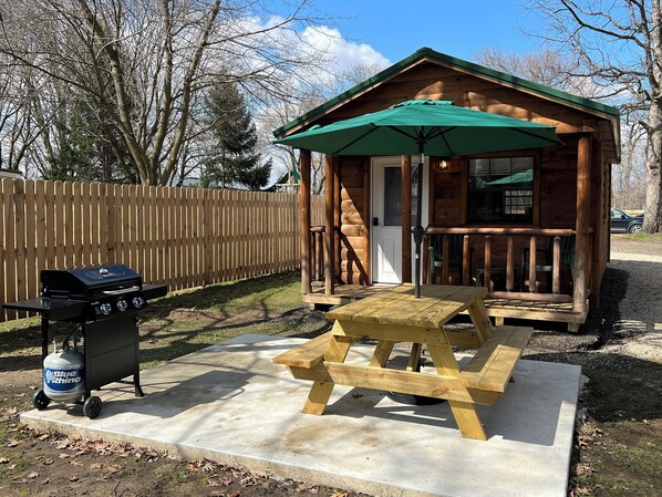 Eine kleine Holzhütte mit einem grünen Vordach, einem Grill und einem Picknicktisch.