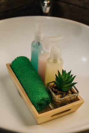 Hair dryer, towels, soap, toilet paper