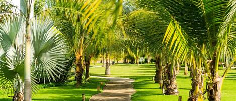 Áreas de la propiedad