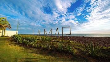 A beach with a clear sky, a palm tree, and a grassy area with plants.