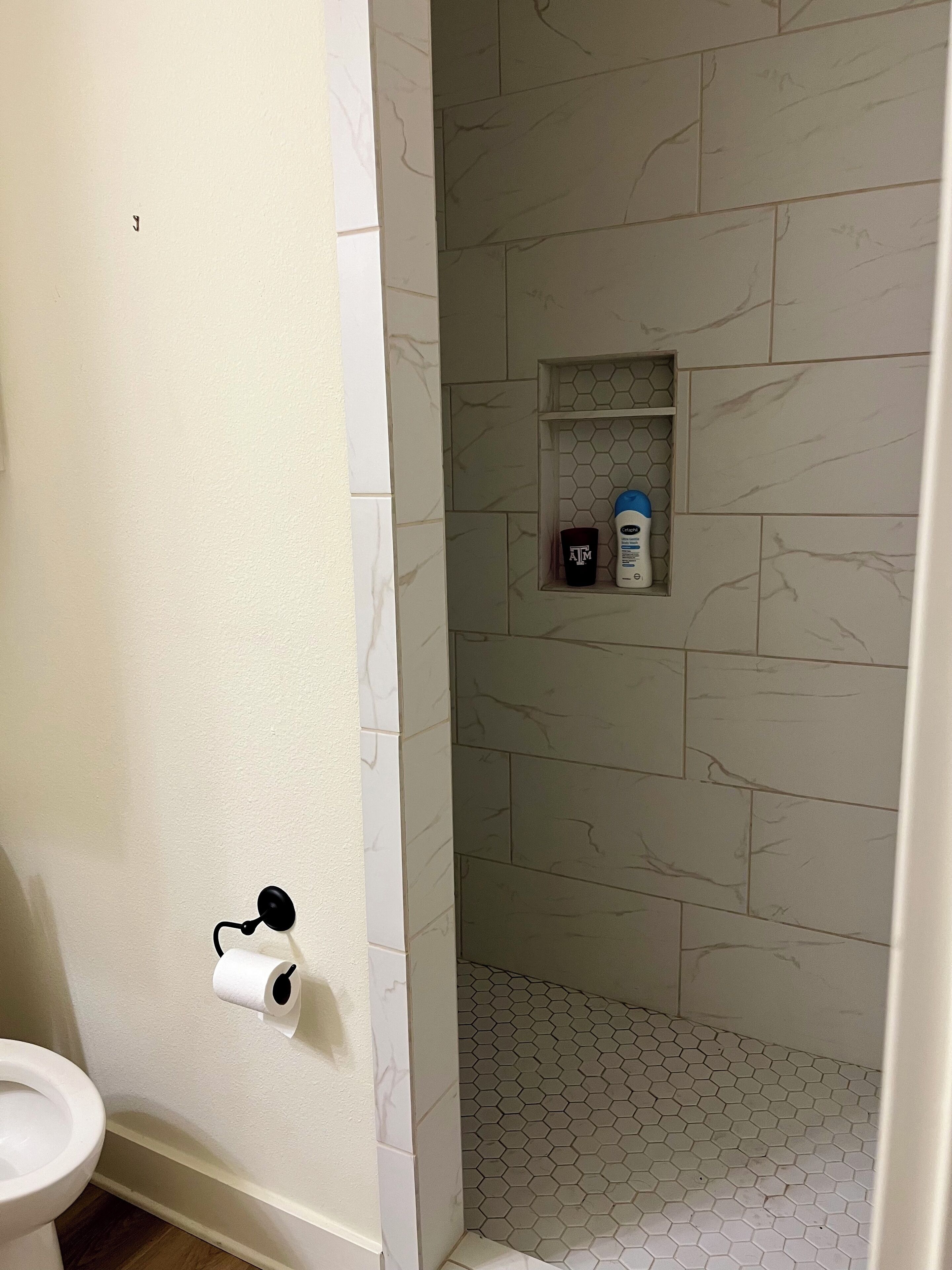 Shower, towels, soap, toilet paper