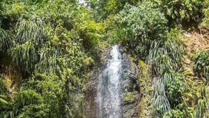 A waterfall in a lush, green setting with a person standing in the water at the base. - Torraille Waterfall Villas - Unit 1 (Soufrière)