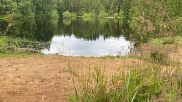 Un paisaje natural con un lago tranquilo rodeado de un bosque denso.