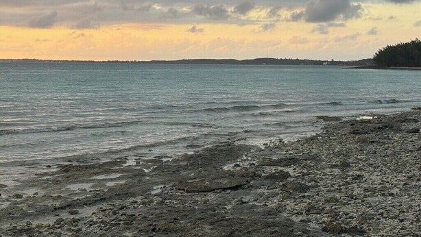 A beach with rocky shoreline and calm water. - Cozy, comfortable 1-bedroom apartment in charming Eleuthera near to the beach. (North Eleuthera)