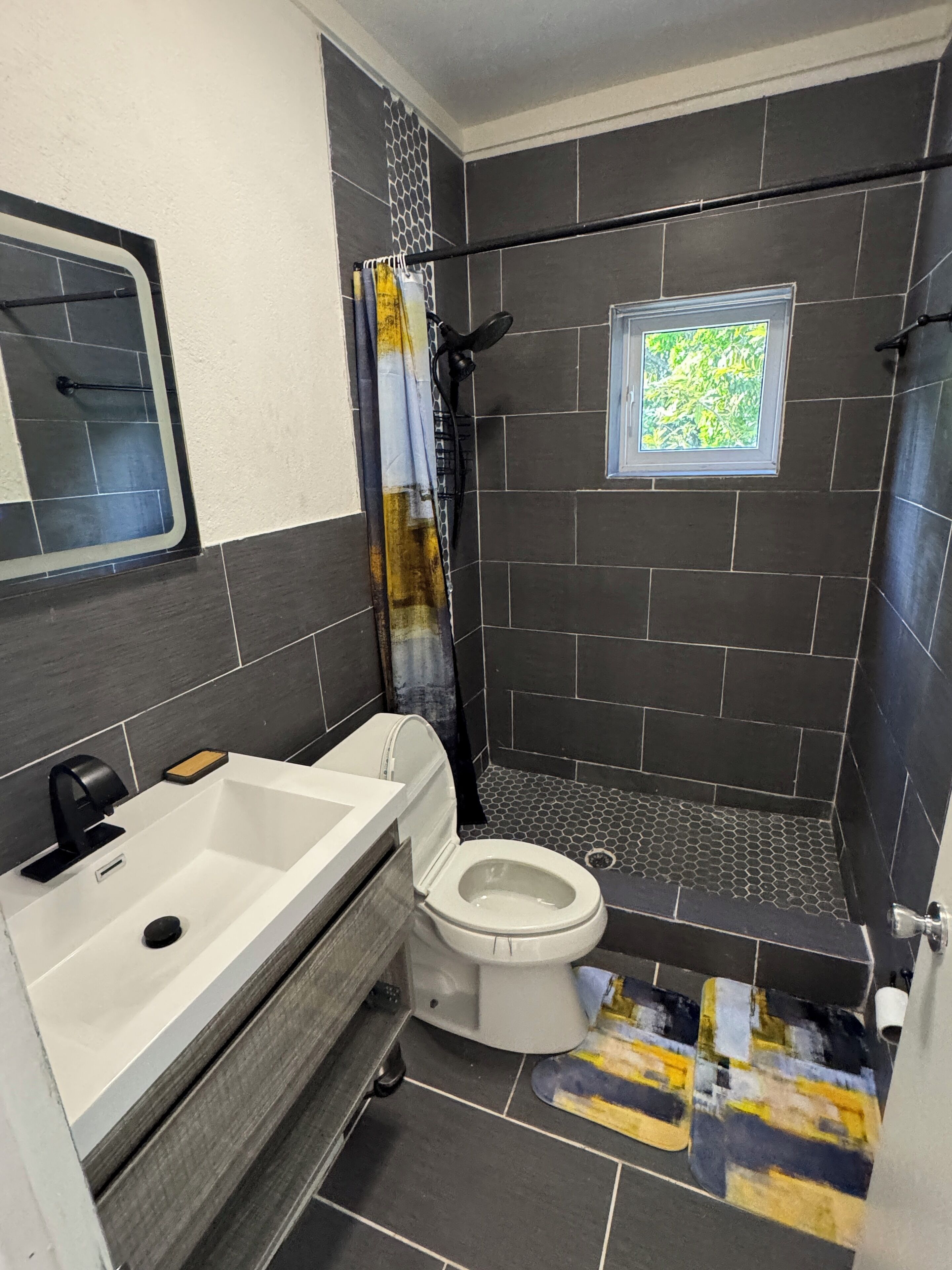 Shower, towels, toilet paper