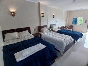 Blackout drapes, soundproofing, free WiFi - NILE MOON (Aswan)