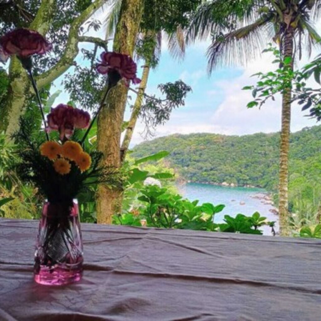 Desayuno continental incluido todos los días 