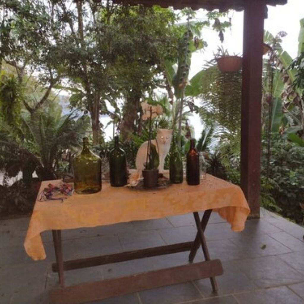 Desayuno continental incluido todos los días 