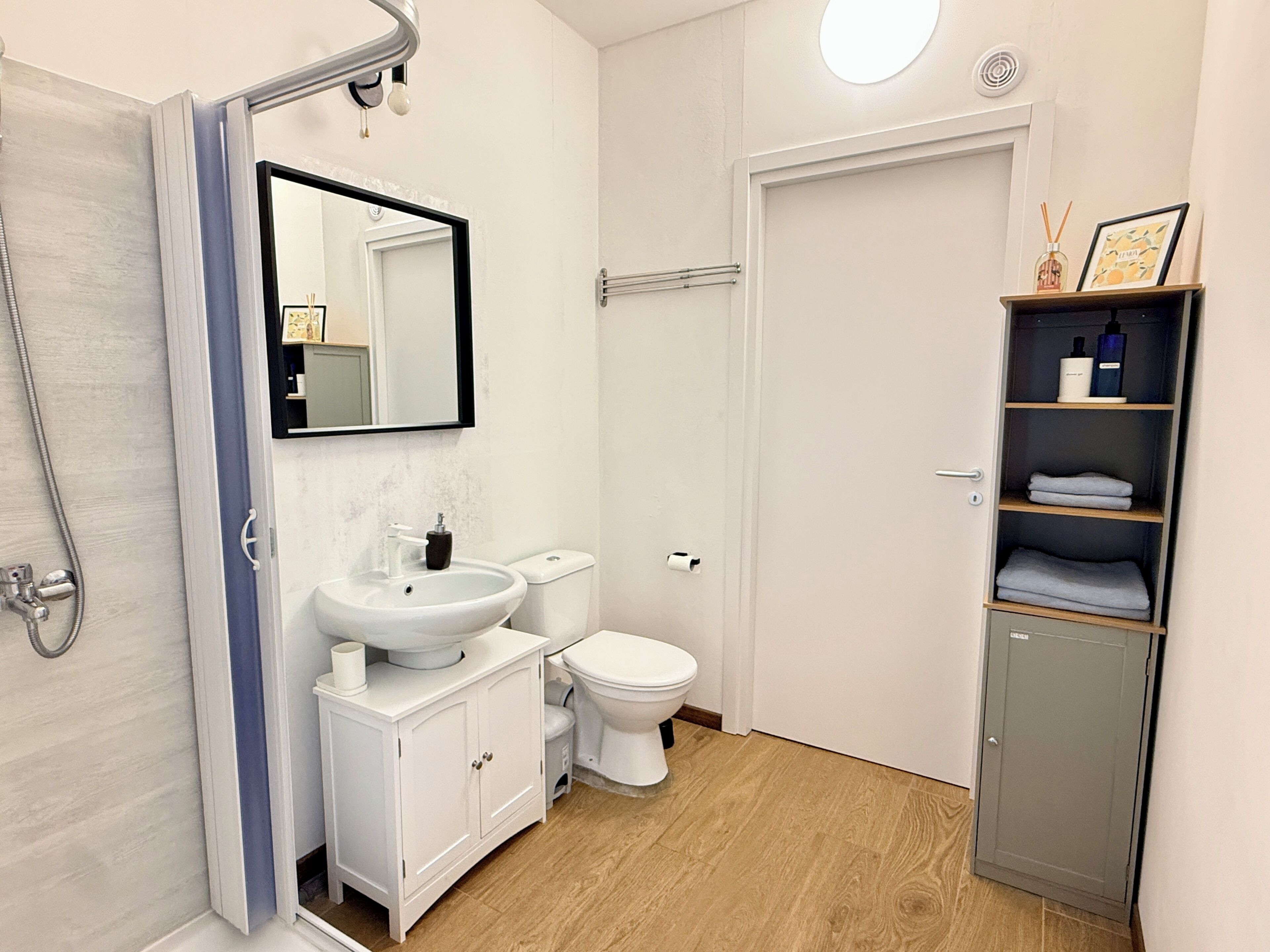 Shower, hair dryer, bidet, towels