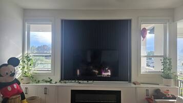 TV, caminetto