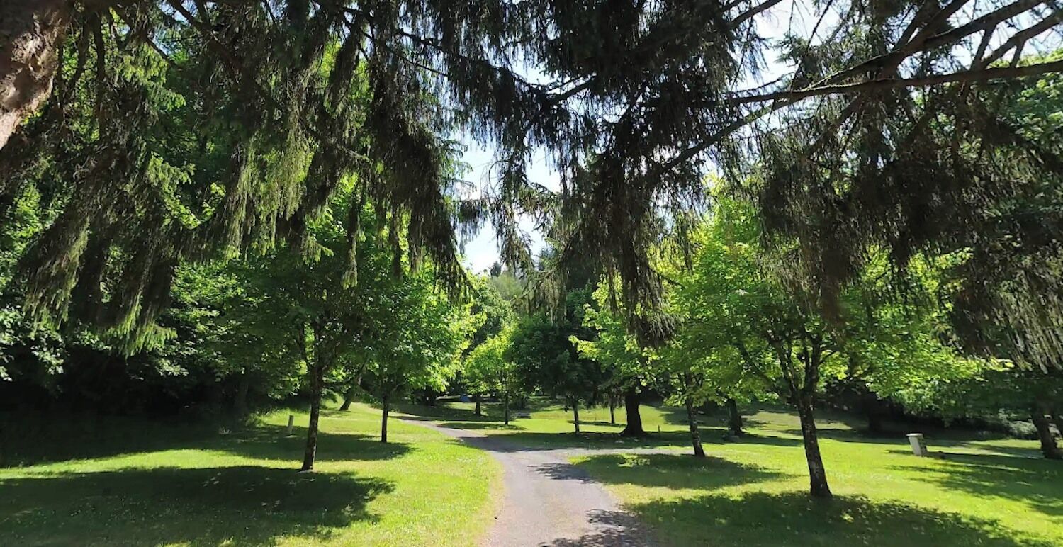 Un camí a través d'un parc flanquejat per arbres.
