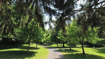 Un camí a través d'un parc flanquejat per arbres.