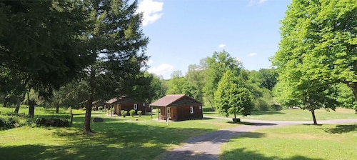 Cozy wooden chalets with terrace on forest edge facing a running stream.