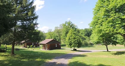 Cozy wooden chalets with terrace on forest edge facing a running stream.