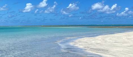 海灘、白沙、浮潛、間海灘酒吧