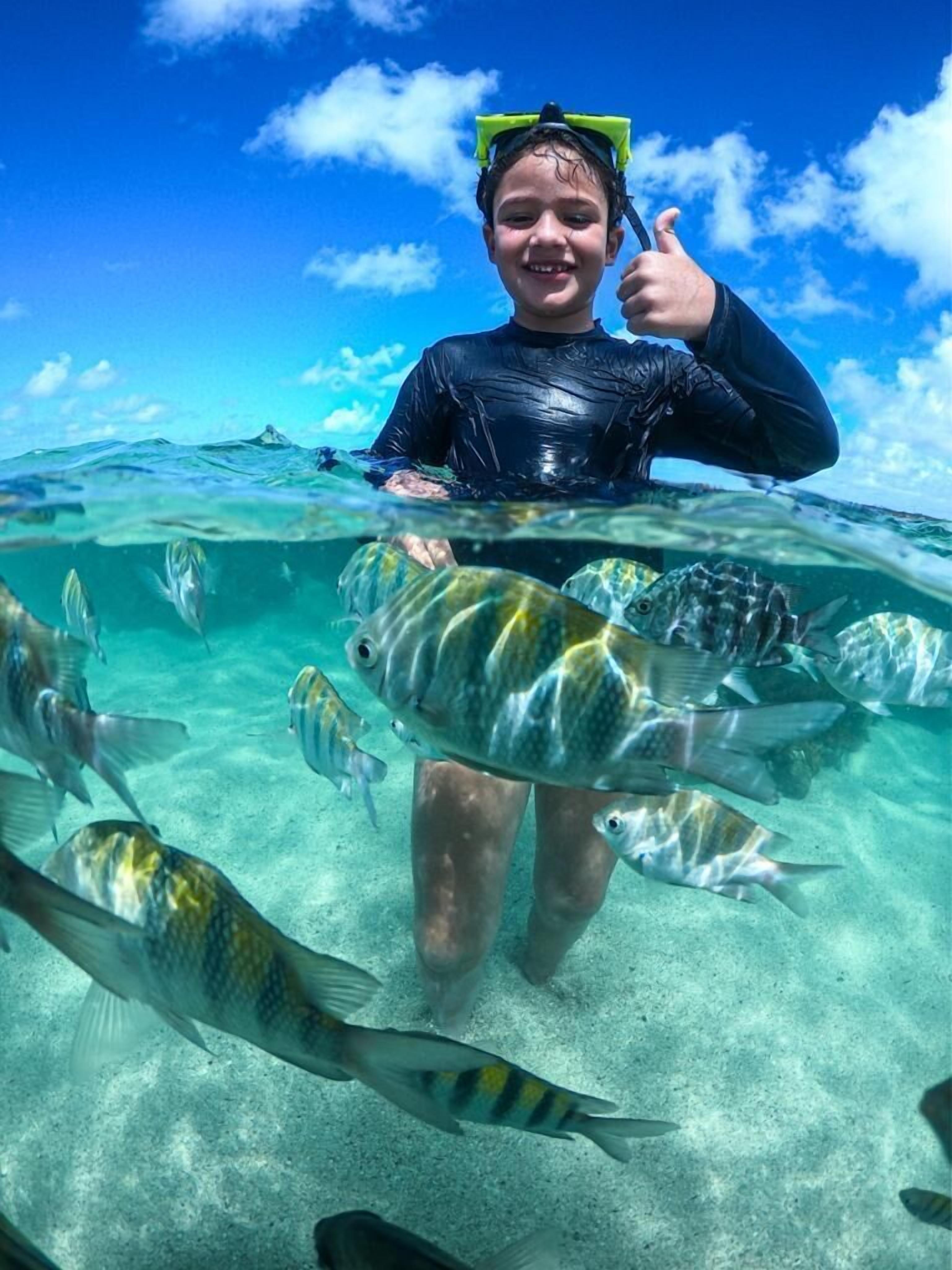 Una persona haciendo snorkel con peces en agua cristalina.