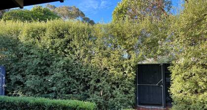 Classic family home in Leafy Camberwell