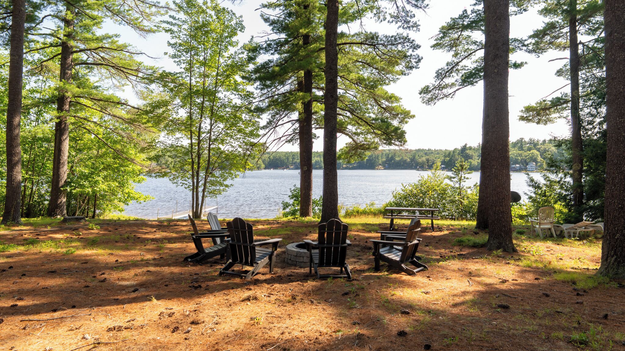 Un camping con mesas y sillas de picnic, rodeado de árboles altos y vistas al lago.