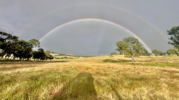 A field with a rainbow arching across the sky.