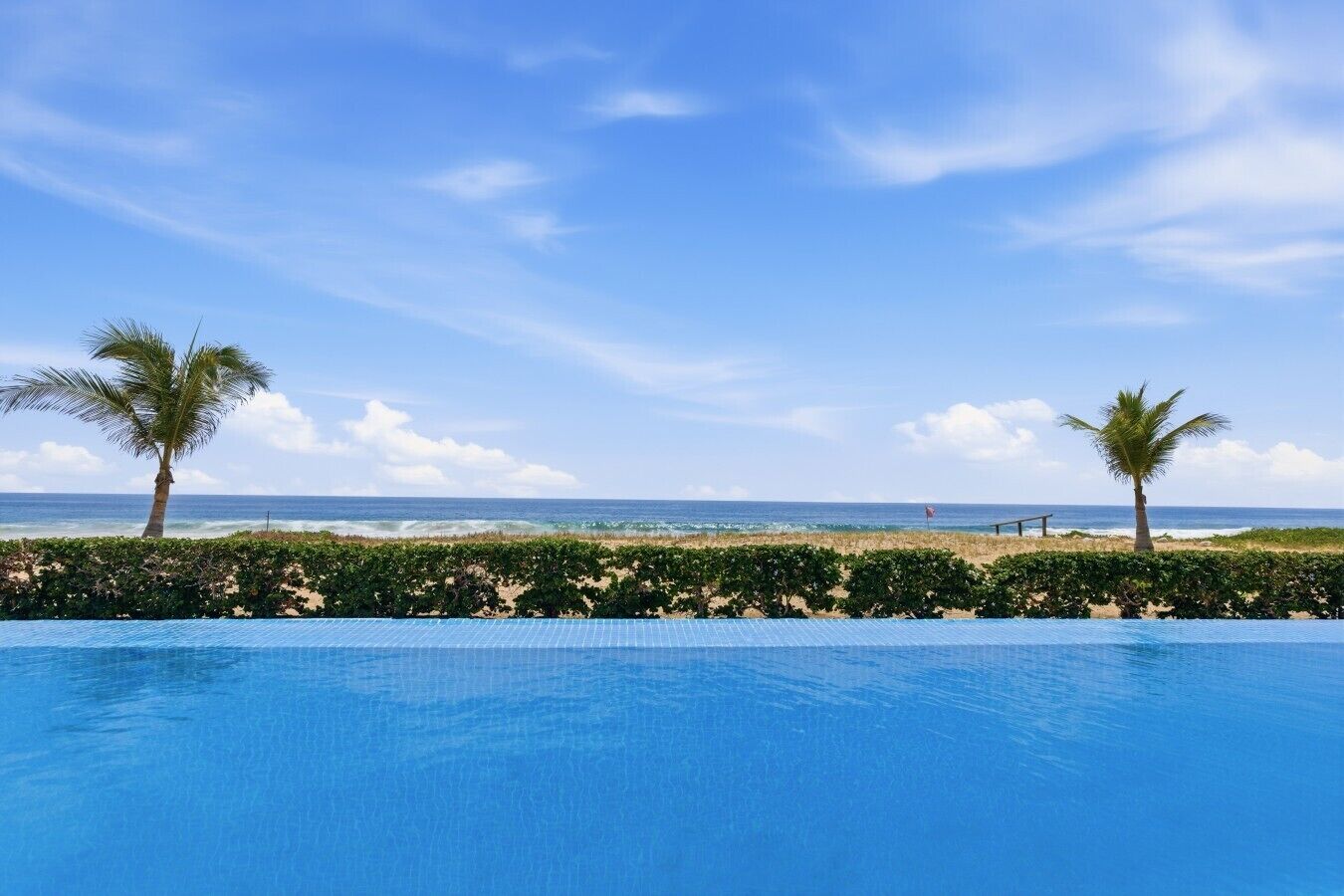 Une piscine avec vue sur l’océan et les palmiers.