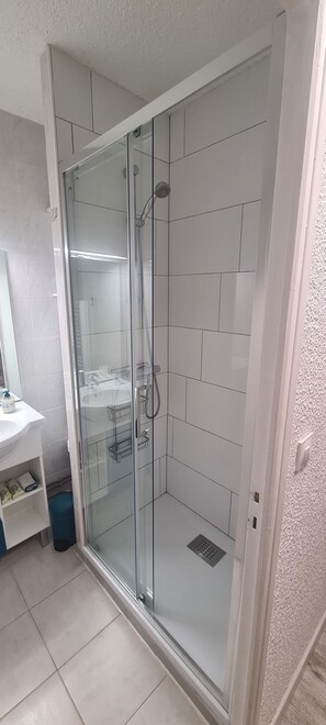 Shower, hair dryer, toilet paper