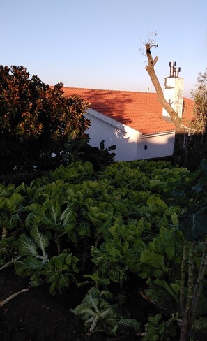 Property grounds - Superb Views in Douro Region (Vila Marim)