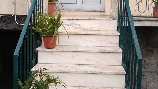 Un escalier en marbre mène à une porte surmontée d’un portail en métal, de part et d’autre de laquelle se trouvent des plantes en pot.