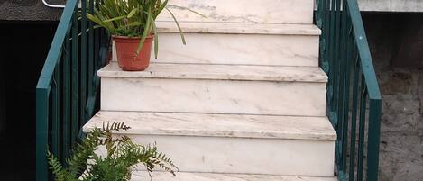 Detalle exterior