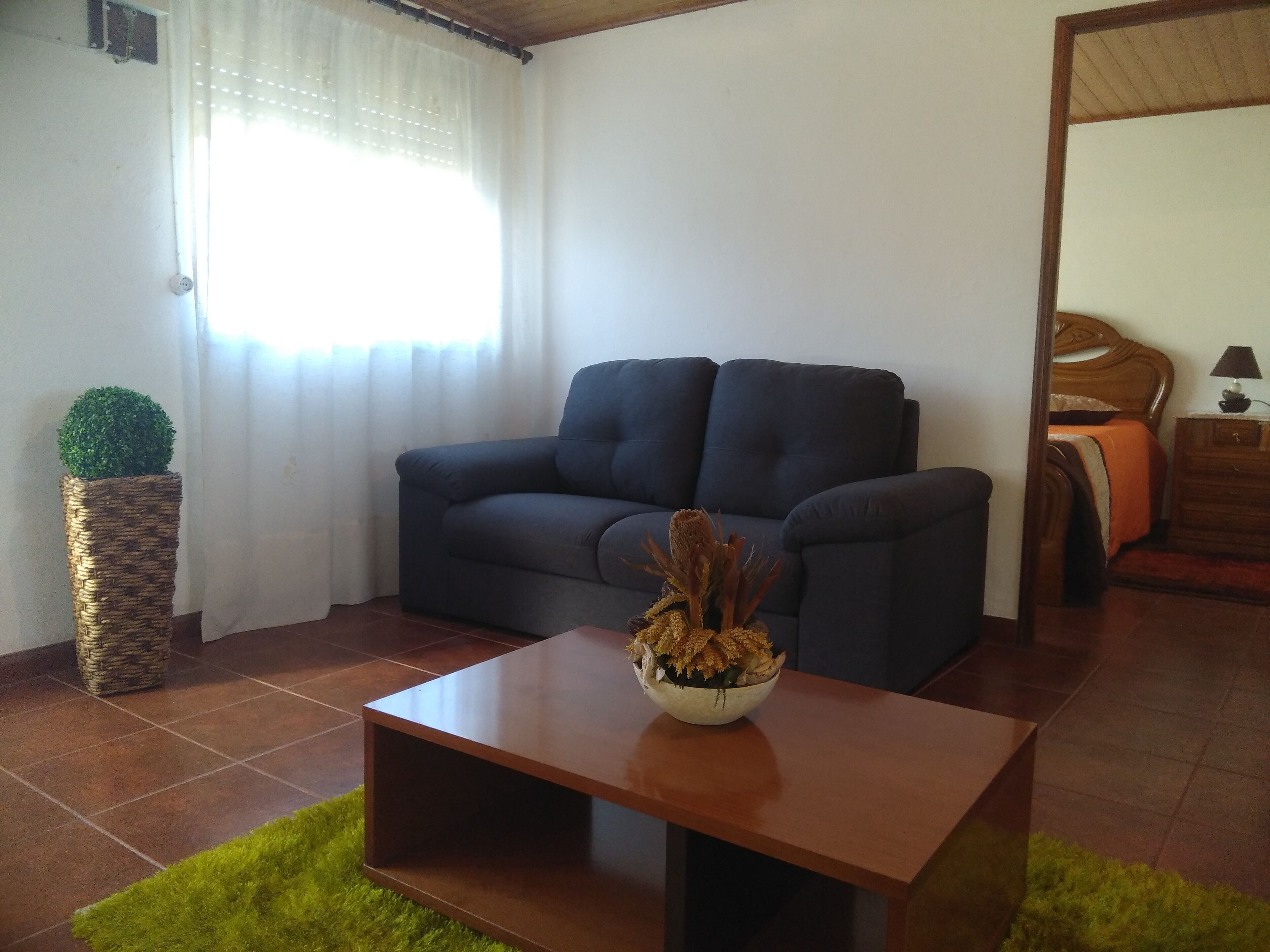 Una sala de estar con un sofá oscuro, una mesa de centro de madera, un tapete verde, una maceta de mimbre con un árbol pequeño y una ventana con cortinas de encaje.
