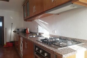 Fridge, microwave, oven, stovetop - Superb Views in Douro Region (Vila Marim)