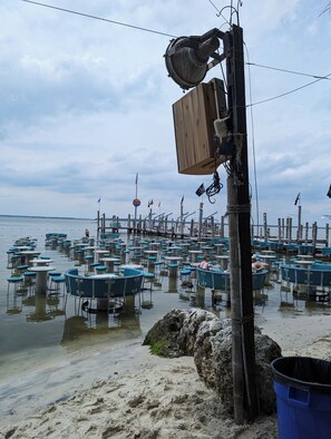 Beach - Cozy Lil' Charmer Near Bethany Beach
1-bedroom apartment with AC (Millville)