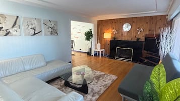 Smart TV, DVD player, books